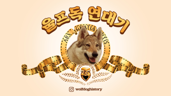 유튜브 울프독연대기 콘텐츠 제작